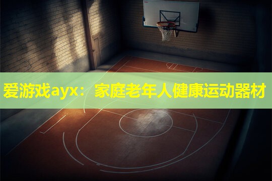 爱游戏ayx：家庭老年人健康运动器材