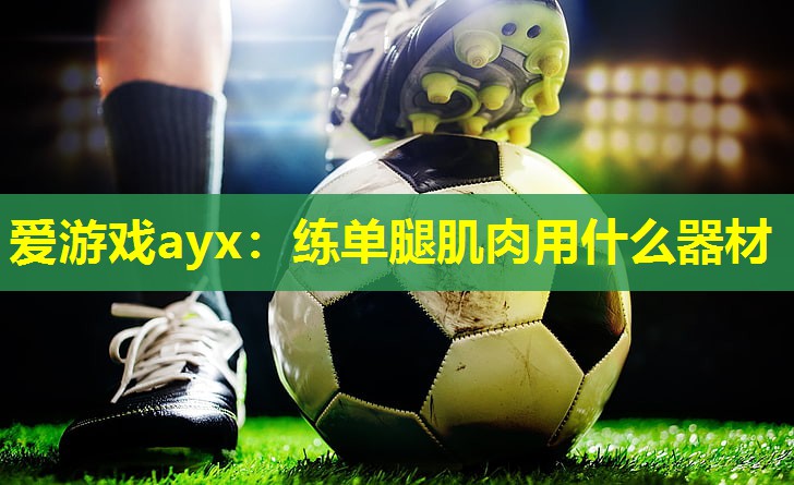 爱游戏ayx：练单腿肌肉用什么器材