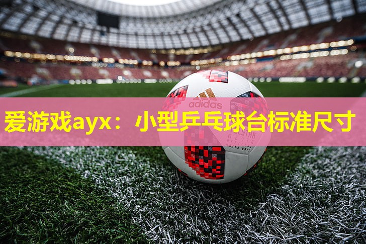 爱游戏ayx：小型乒乓球台标准尺寸