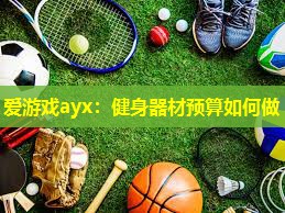 爱游戏ayx：健身器材预算如何做