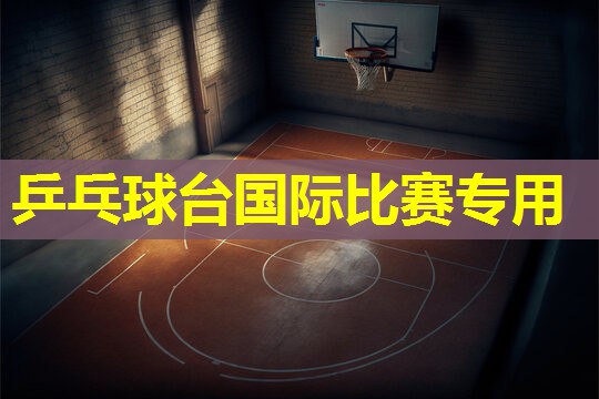 乒乓球台国际比赛专用